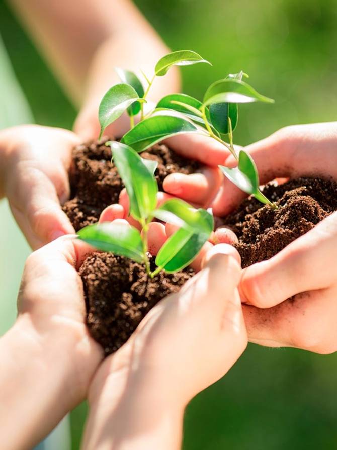 certificazione-ambientale-ISO-14001-EMAS